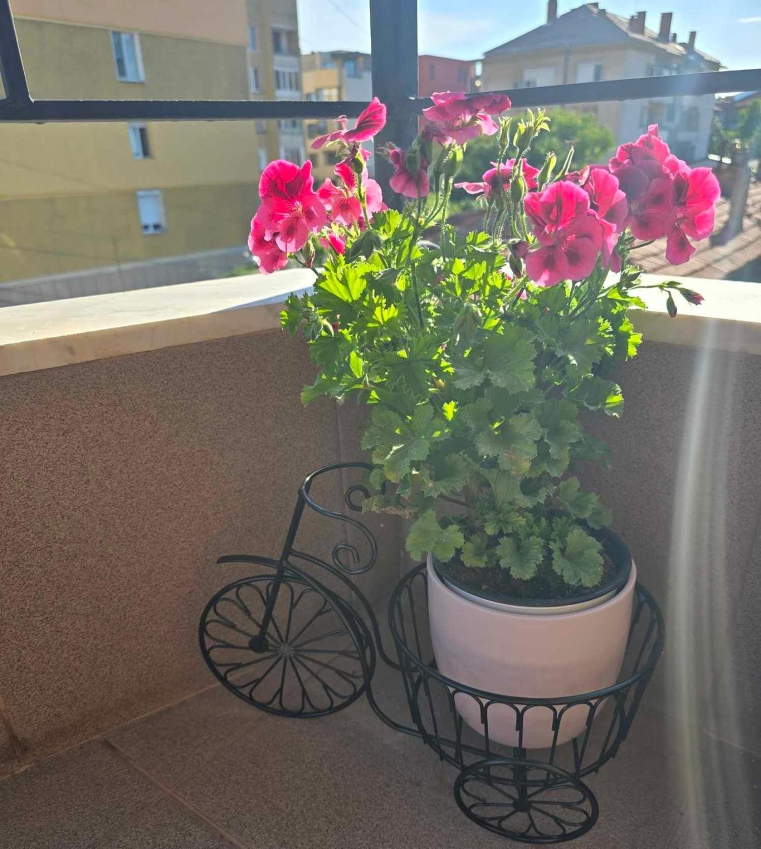 Luxury City Centre Appartment Iva Сливен Экстерьер фото